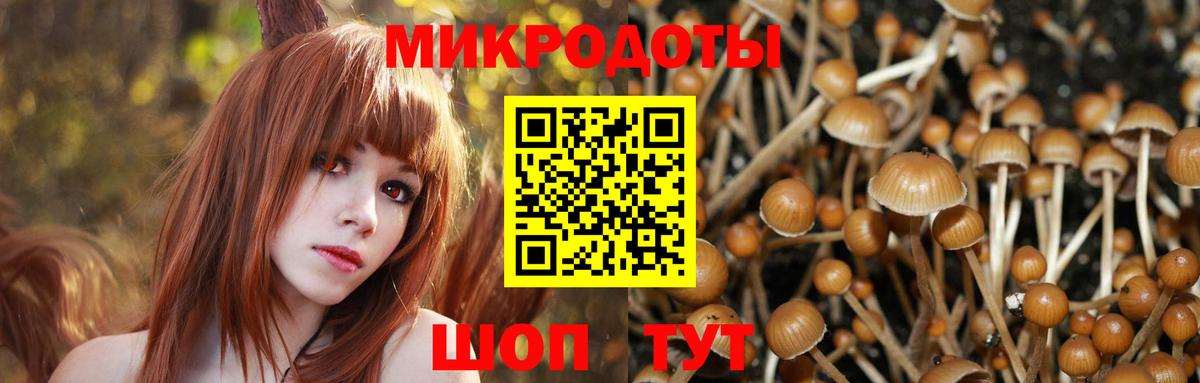 наркошоп  Псилоцибиновые грибы прущие грибы  Вход с VPN  Егорьевск 